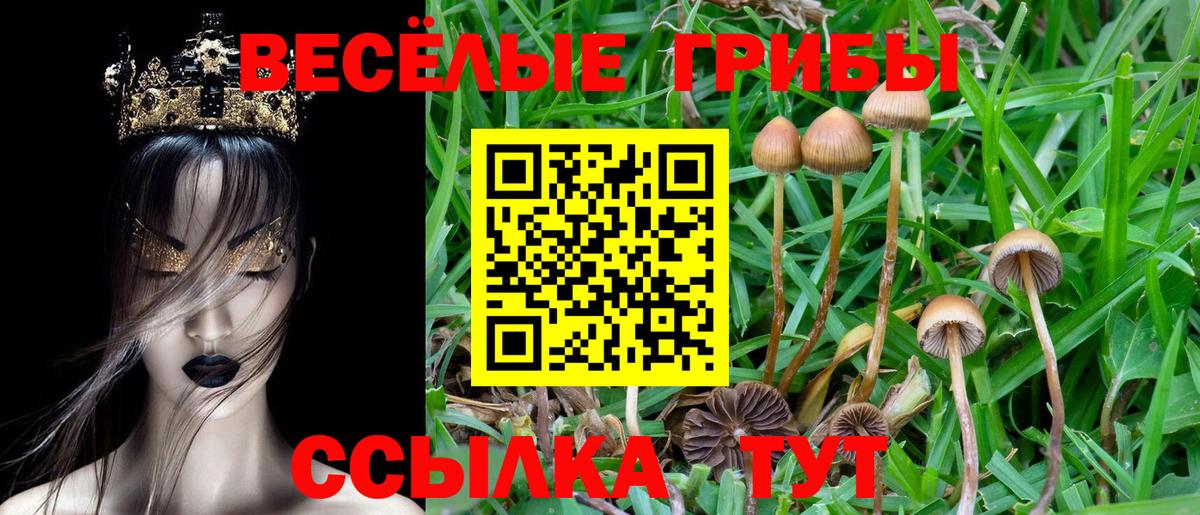 Костомукша  Галлюциногенные грибы Cubensis  закладка  Вход с VPN  Псилоцибиновые грибы мухоморы 